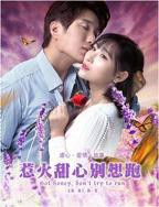 美剧《惹火宝贝》